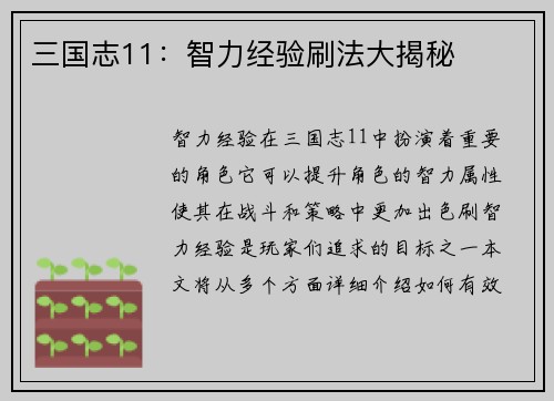 三国志11：智力经验刷法大揭秘
